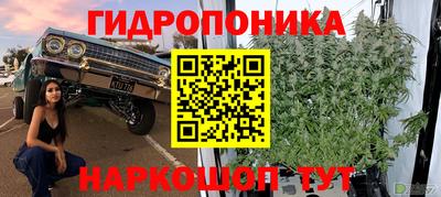 кокс Пенза