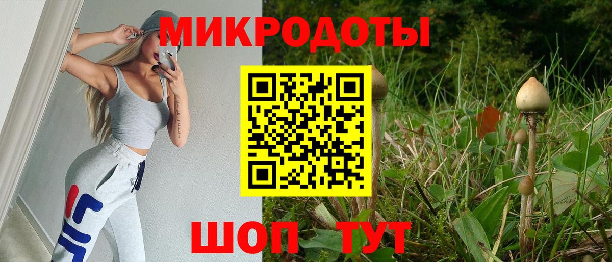 Советская Гавань  Псилоцибиновые грибы Cubensis  Вход с VPN  Псилоцибиновые грибы MAGIC MUSHROOMS 
