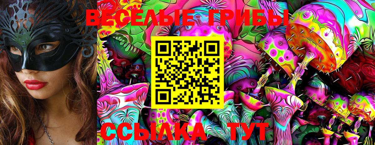 Псилоцибиновые грибы MAGIC MUSHROOMS Советская Гавань